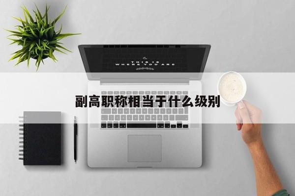副高职称相当于什么级别