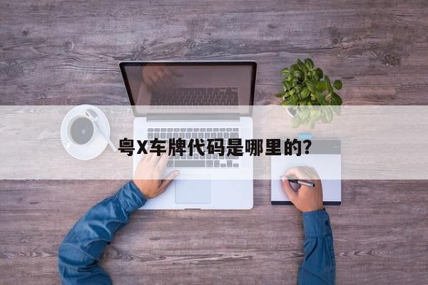 粤X车牌代码是哪里的？