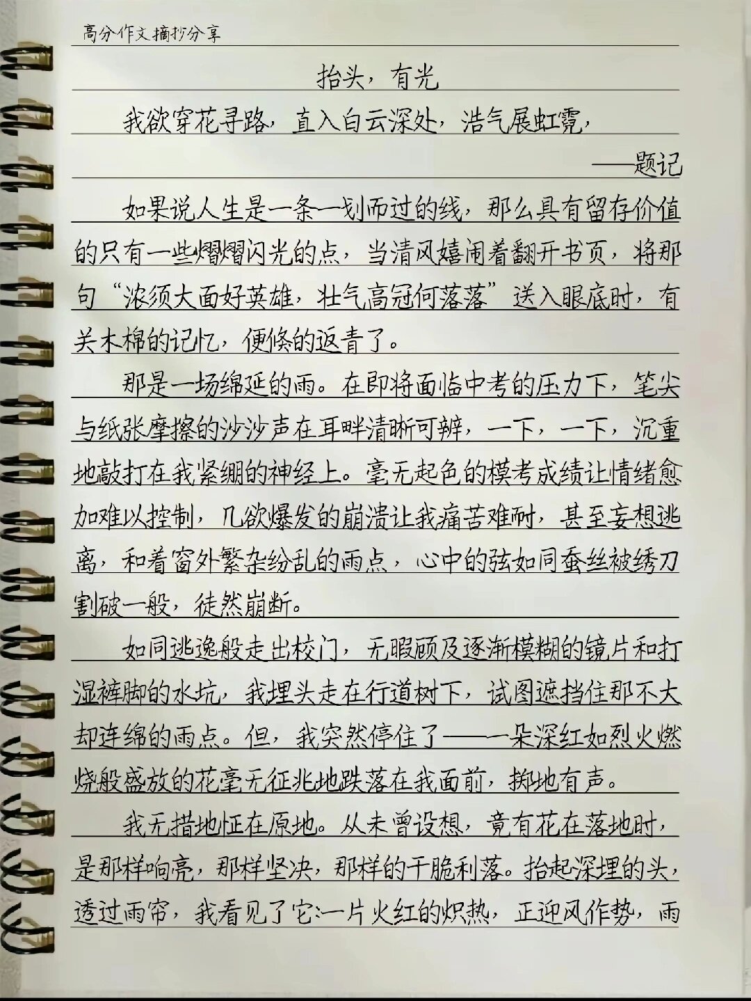用作作文题记的优美句子