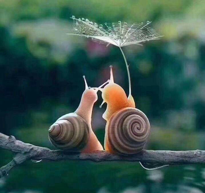 此生契阔与子成说的意思