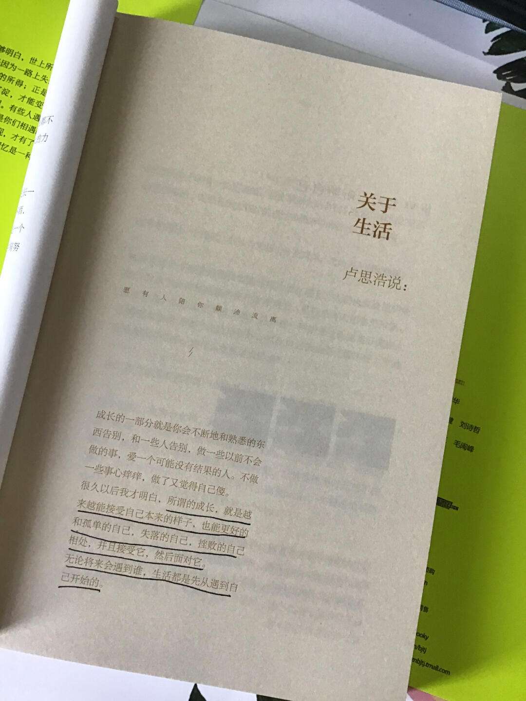 愿有人陪你颠沛流离经典语录