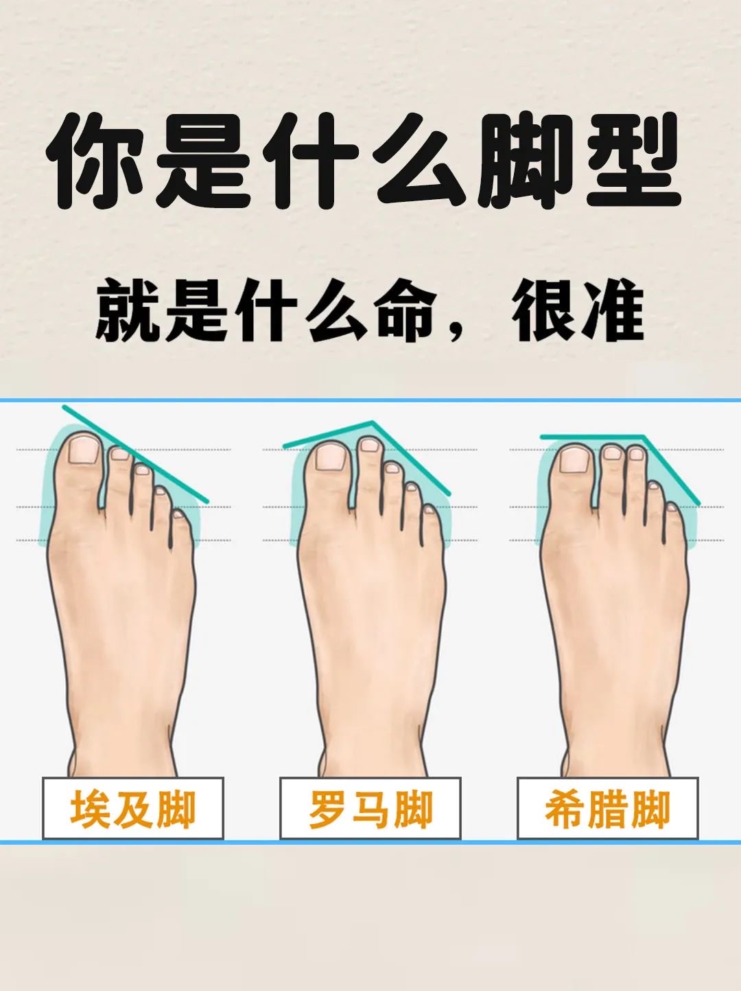 第二个脚趾头比第一个长的命运