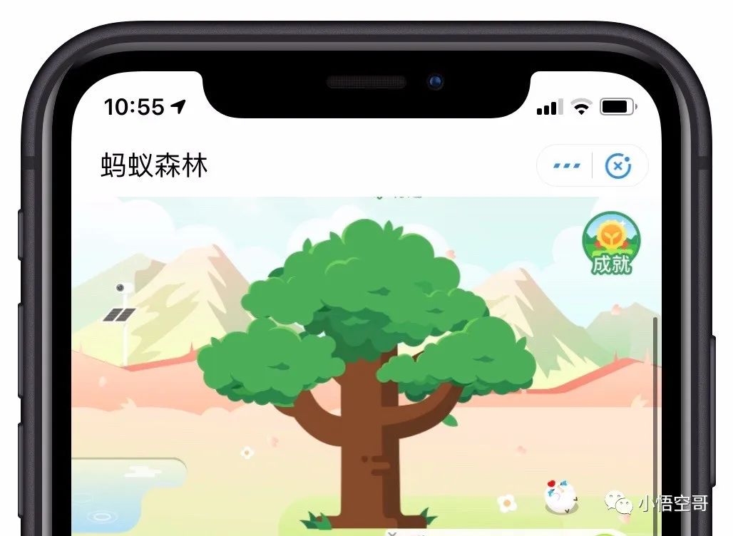 蚂蚁森林刷步数怎么打开