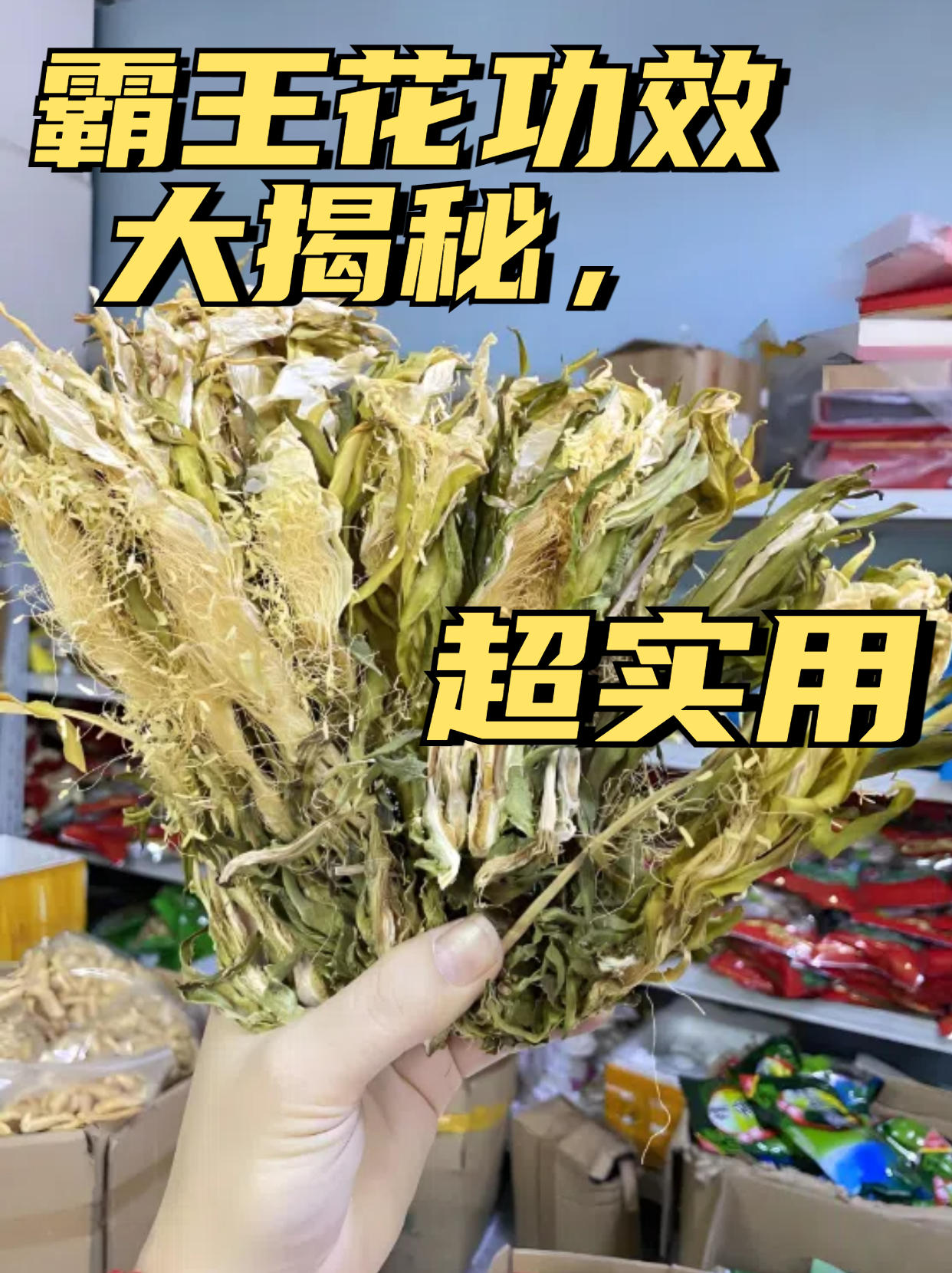 霸王花煲汤需要注意事项