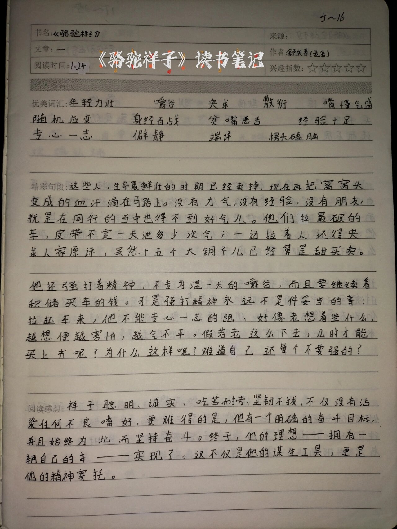 骆驼祥子读书心得50字
