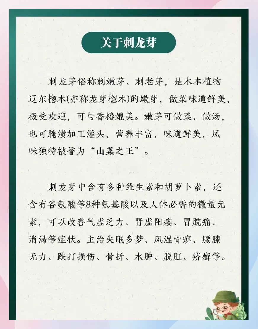 野菜刺菜的功效与作用