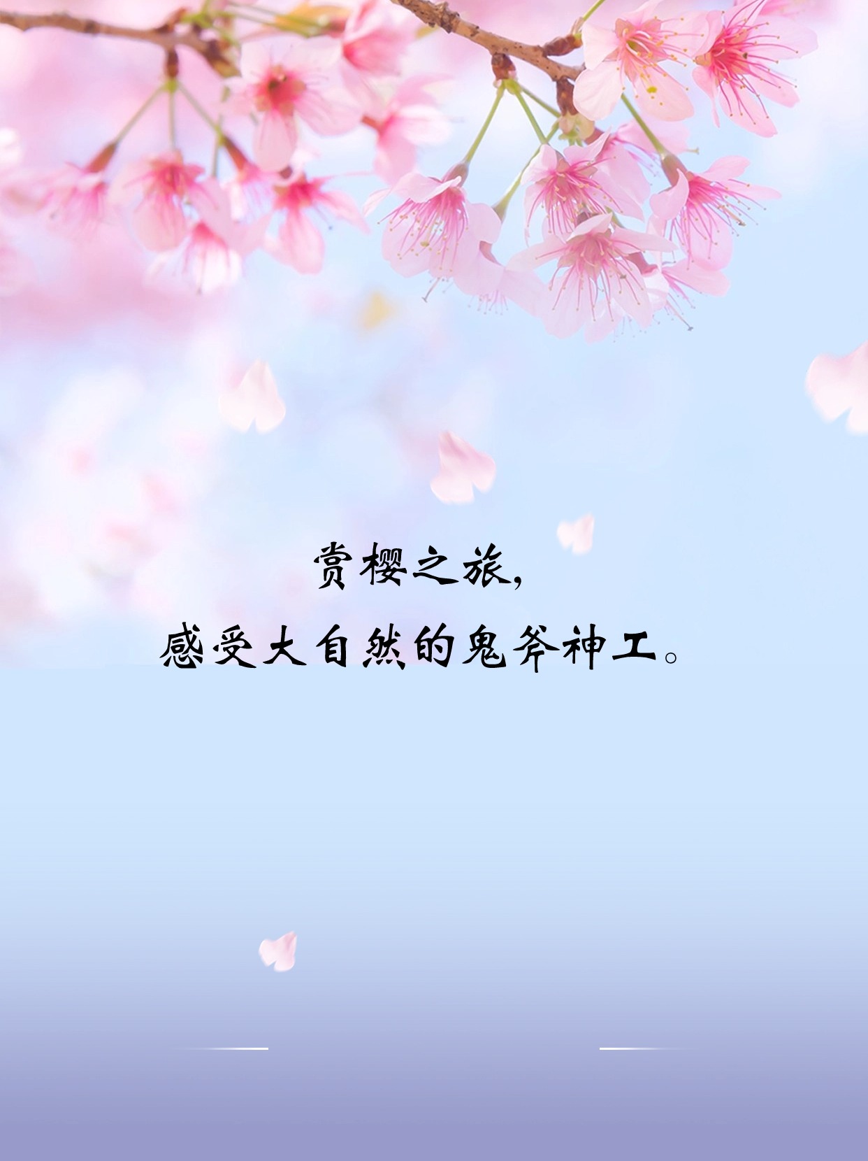 去赏樱花简短的赞美句子推荐