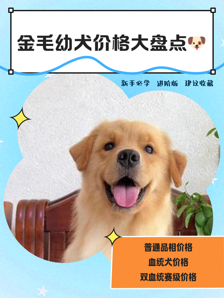 2025年9月17日 第18页