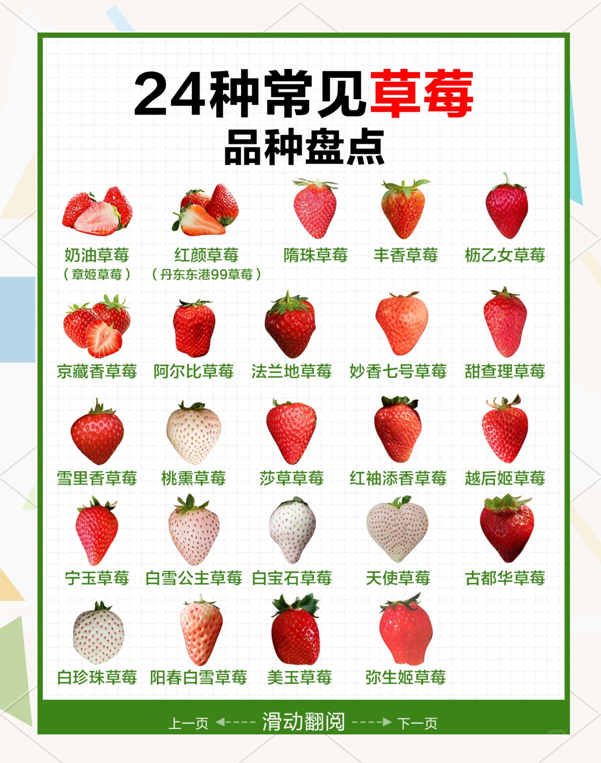 草莓是寒性还是热性水果