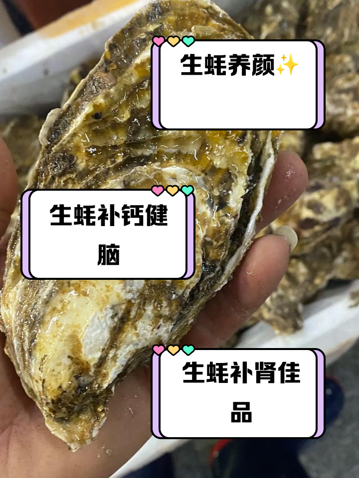 生蚝怎么吃里面要去掉什么