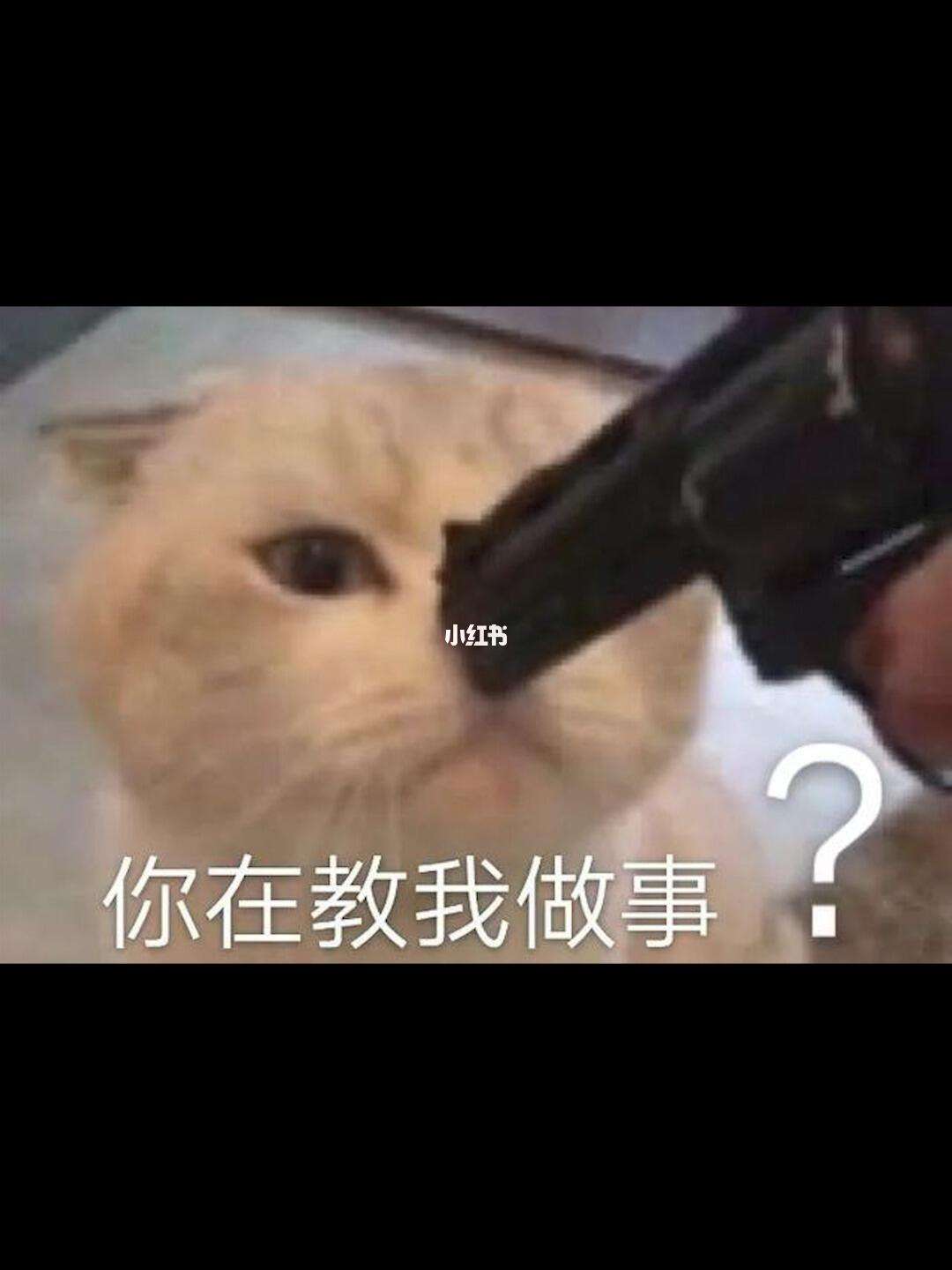 你在教我做事的来源和意思