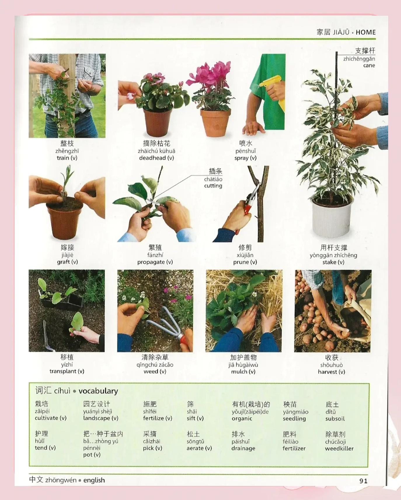 要怎麽收获先怎麽栽是什么意思