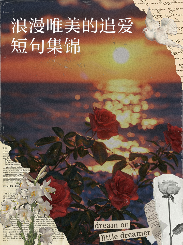浪漫的6个字爱情短句有哪些