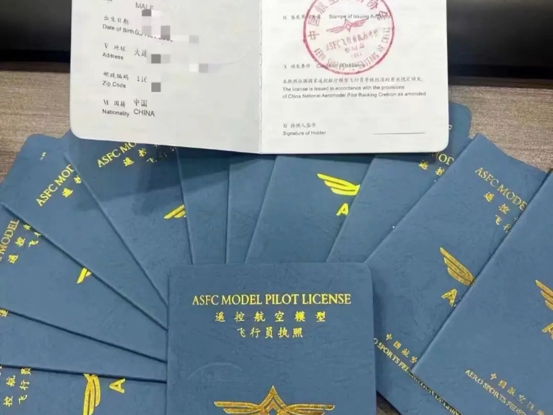 民用航空器驾驶员执照里面样本是什么