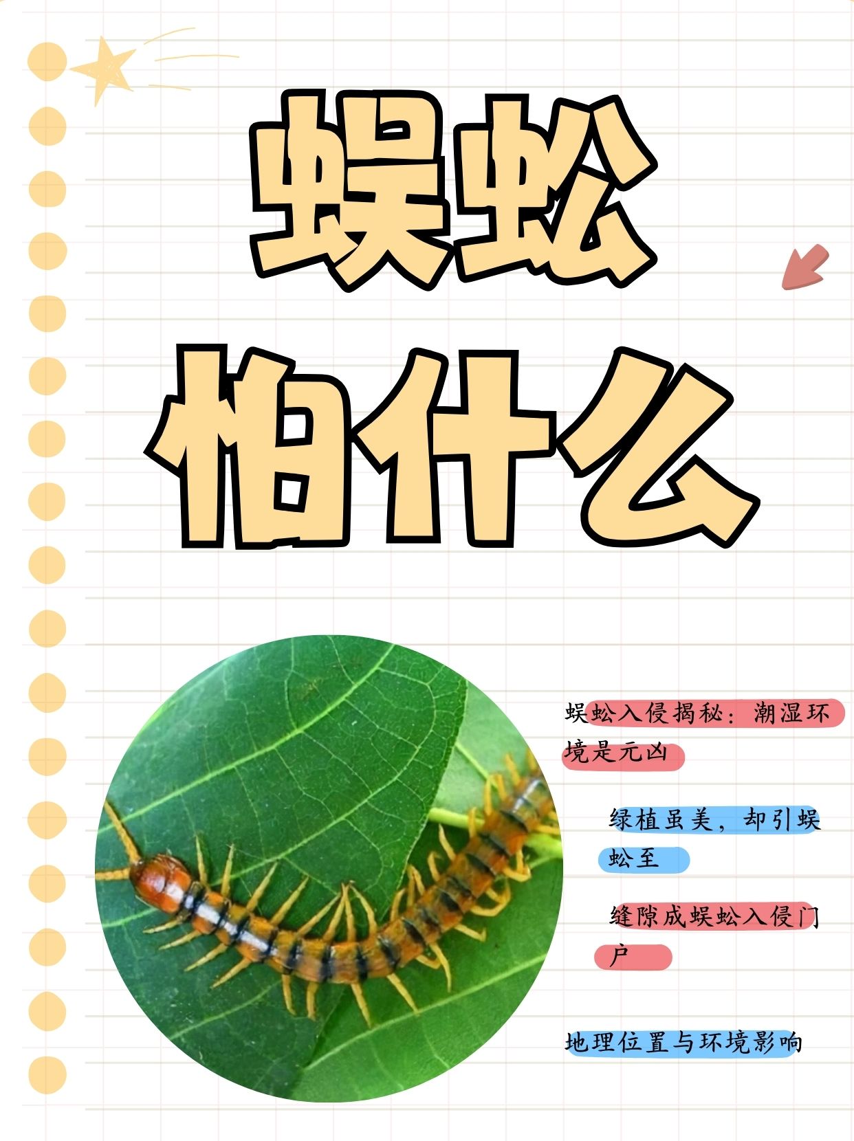 家里进蜈蚣有什么预兆