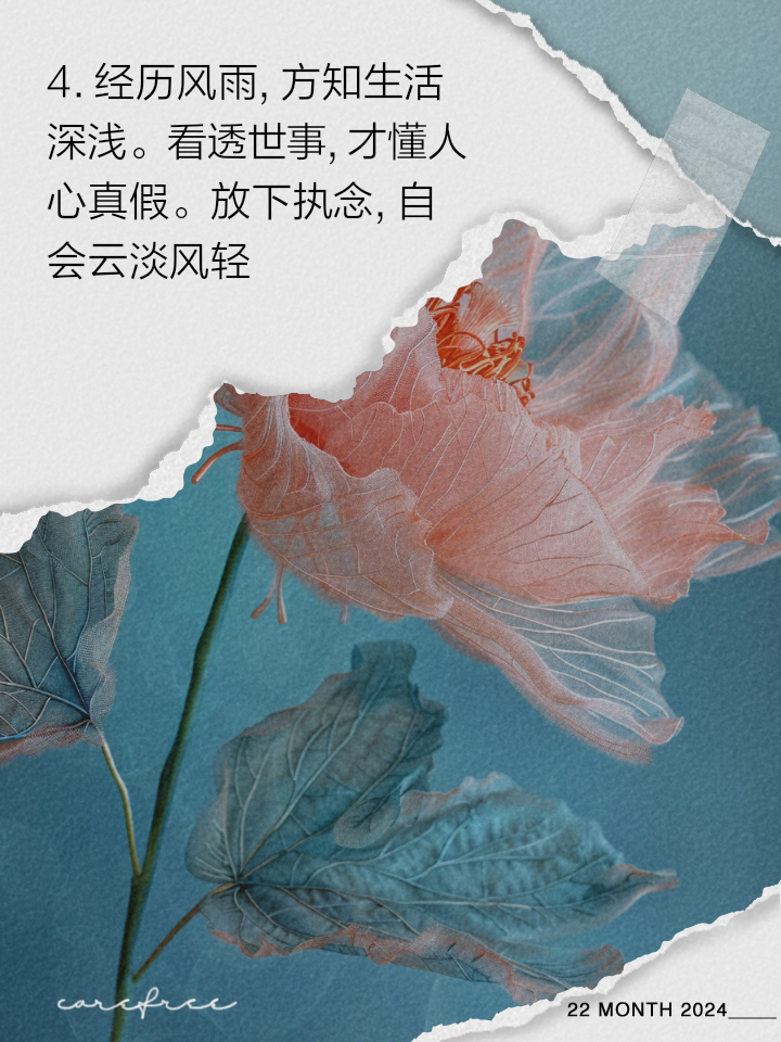 看透世间的人情冷暖的句子