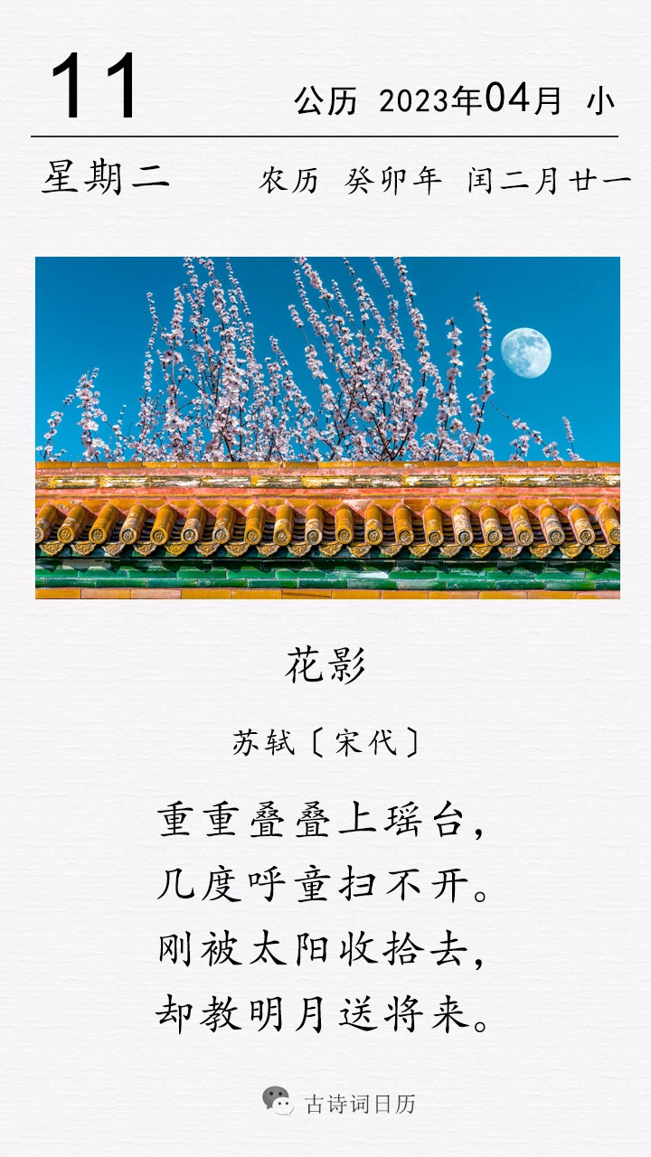 花影宋苏轼古诗赏析译文