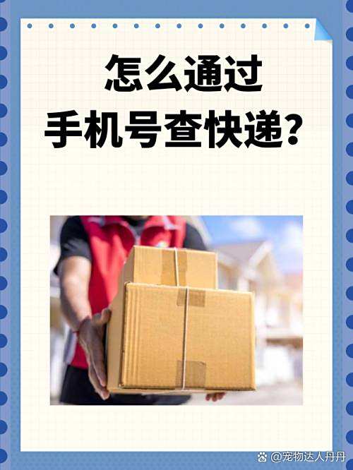 手机号码加姓名查询快递