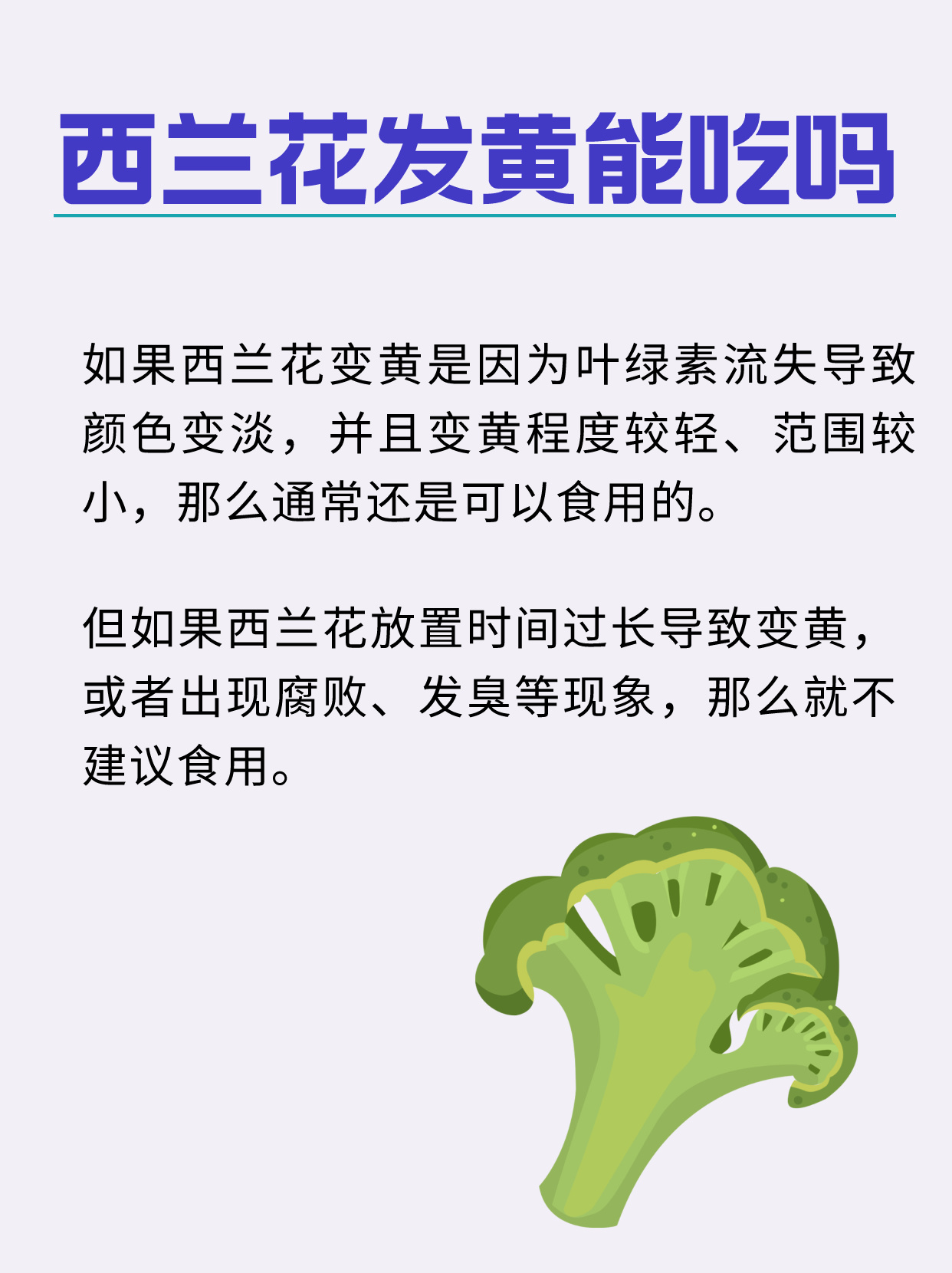 变黄的西兰花能否食用变黄的西兰花还能吃吗