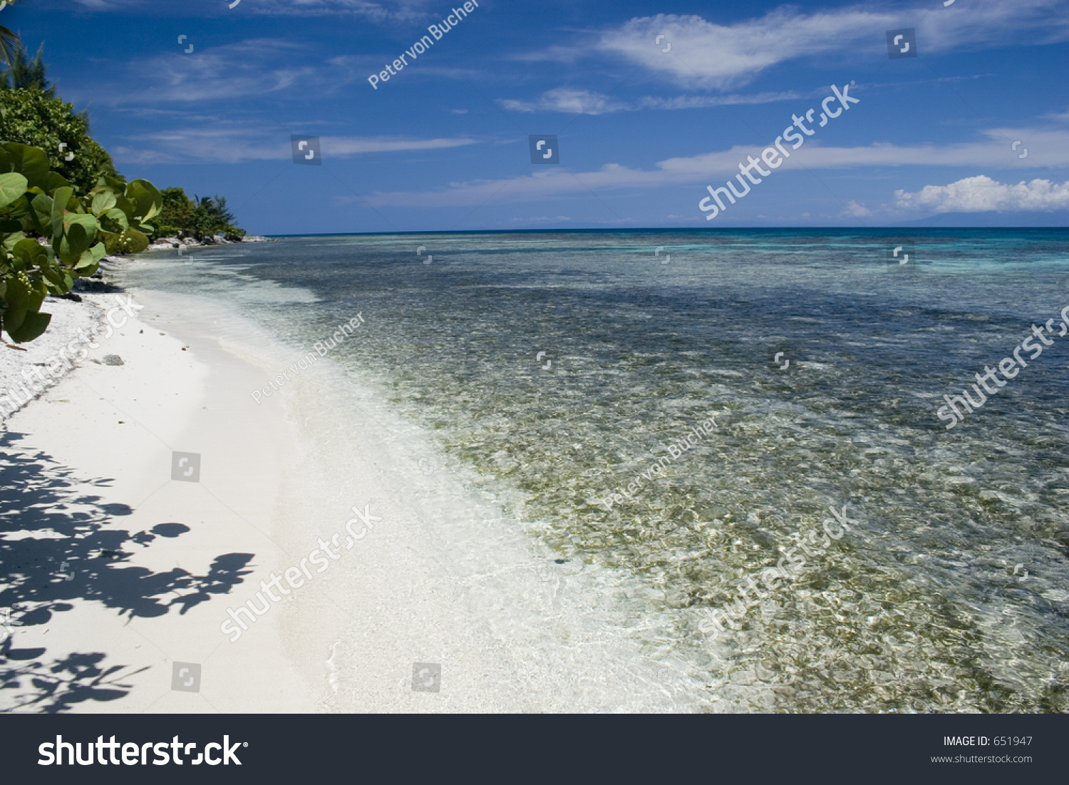 beach是什么意思