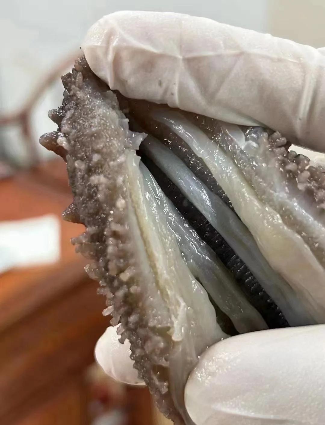 泡海参做法怎么泡海参