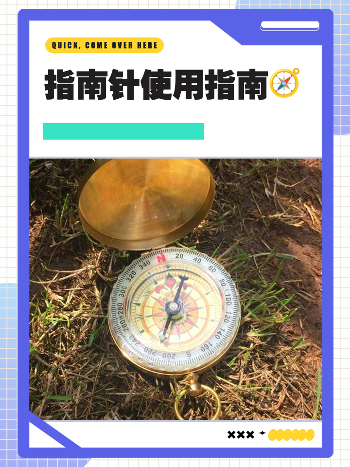 大自然的指南针有哪些二年级