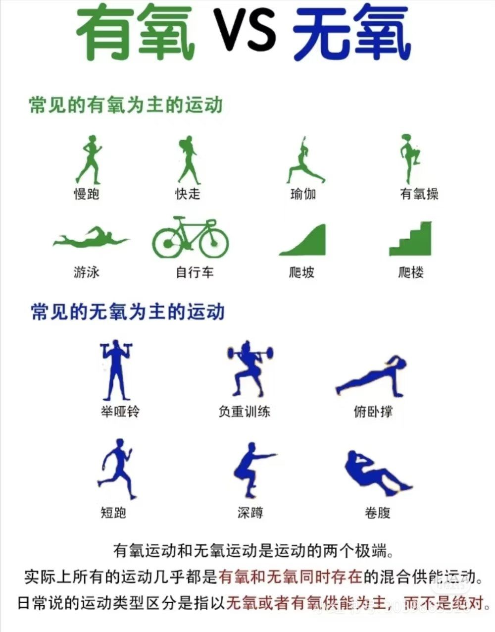 有氧运动和无氧运动分别有哪些