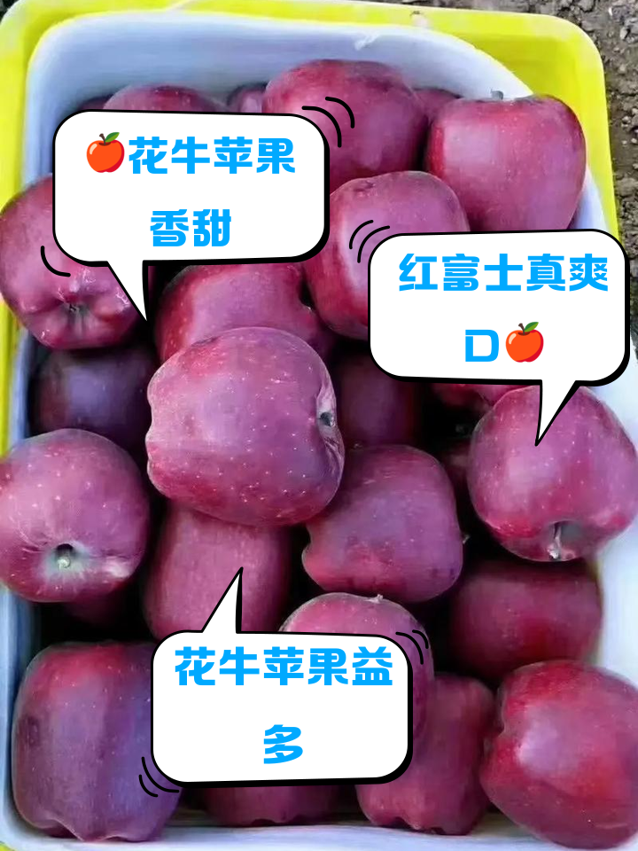 花牛苹果和普通苹果的区别