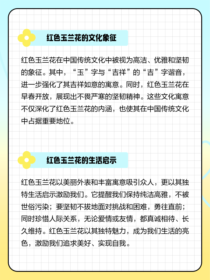 玉兰花的寓意和传说是什么