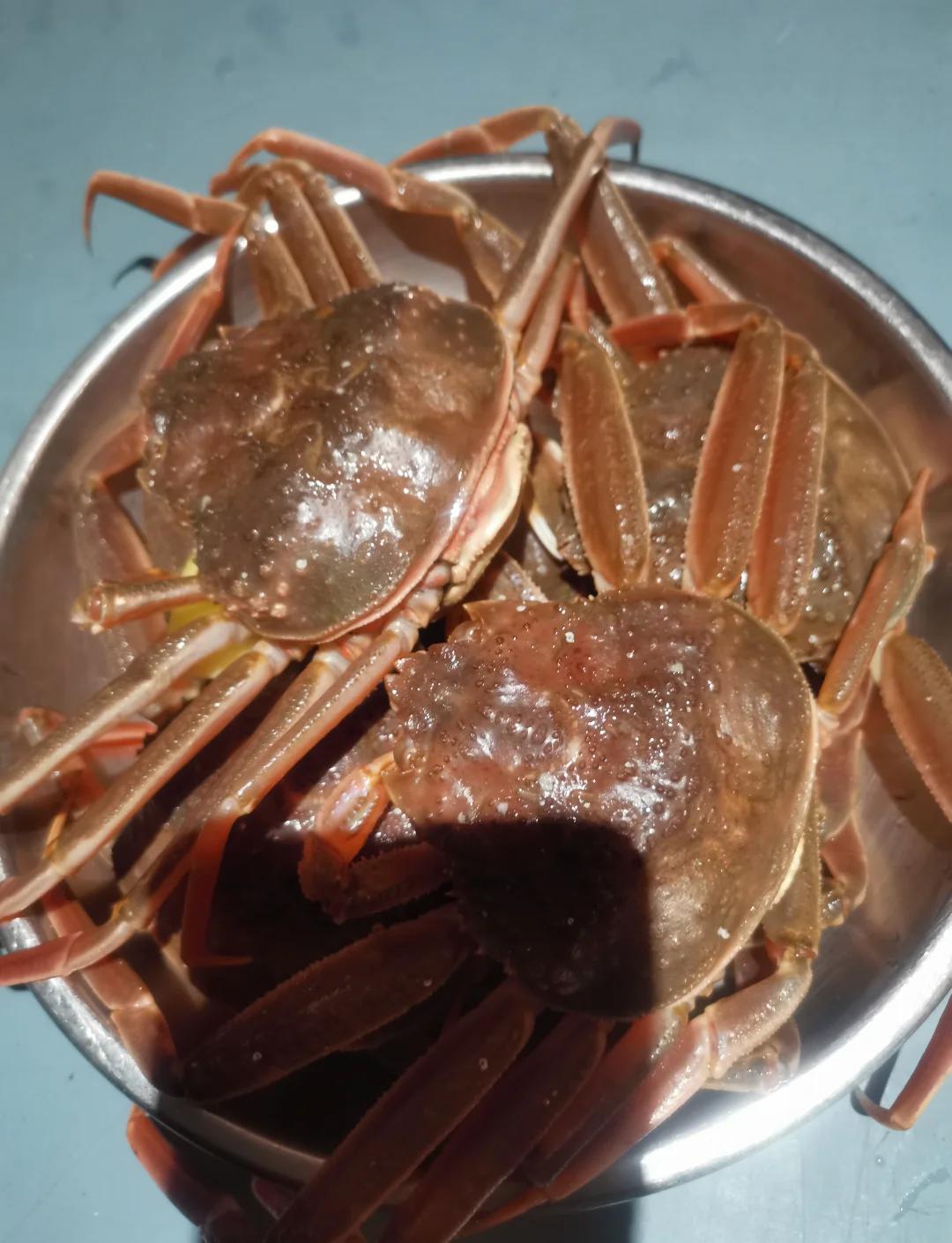 海蟹怎么保存好吃又新鲜