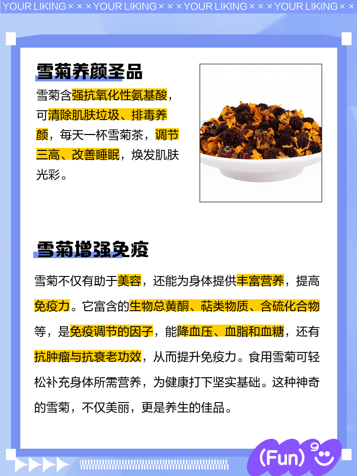 雪菊茶有什么功效与作用