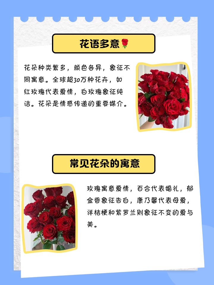 各种花代表什么象征意义