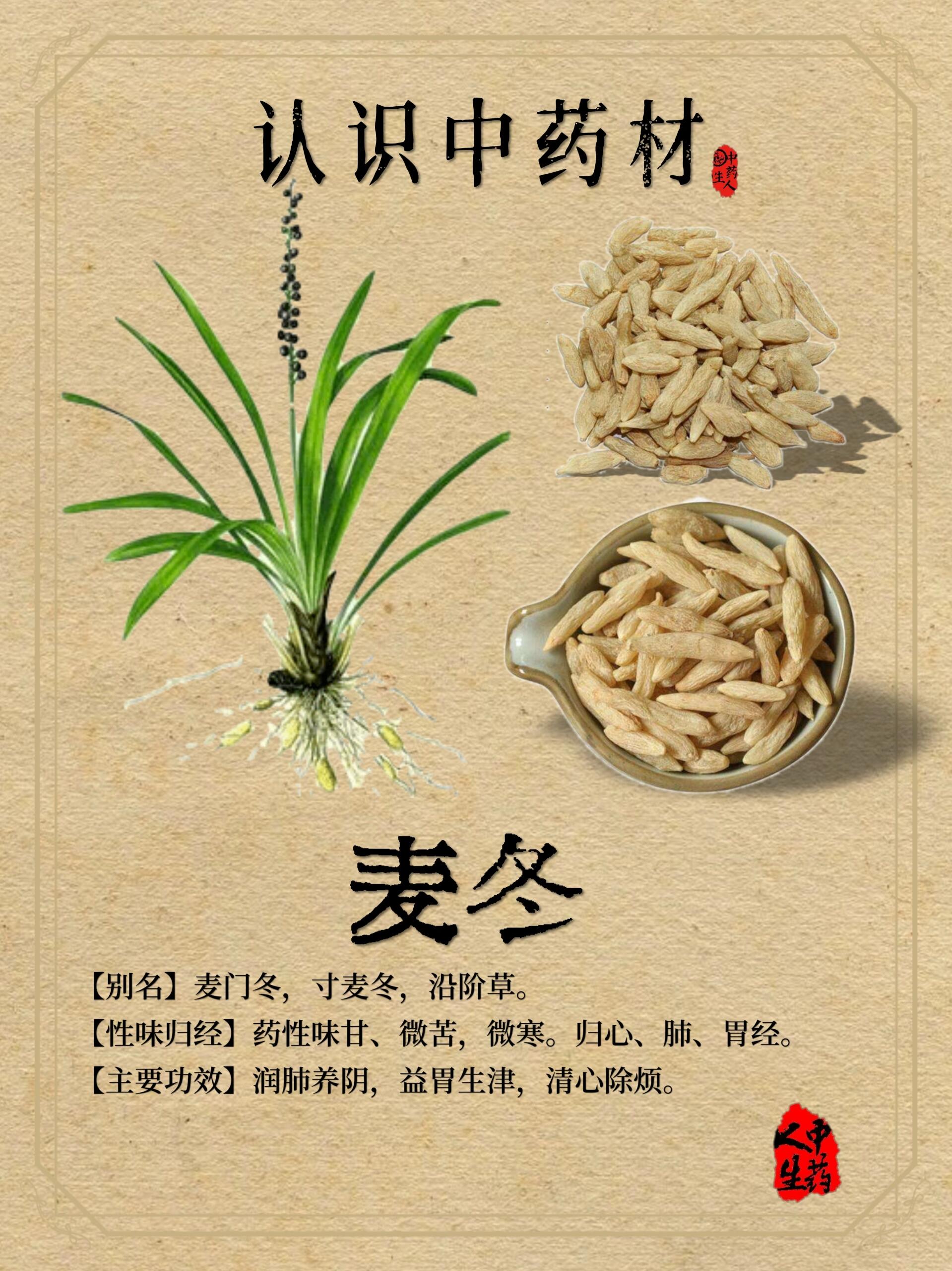龙胆泻肝丸说明书及配方