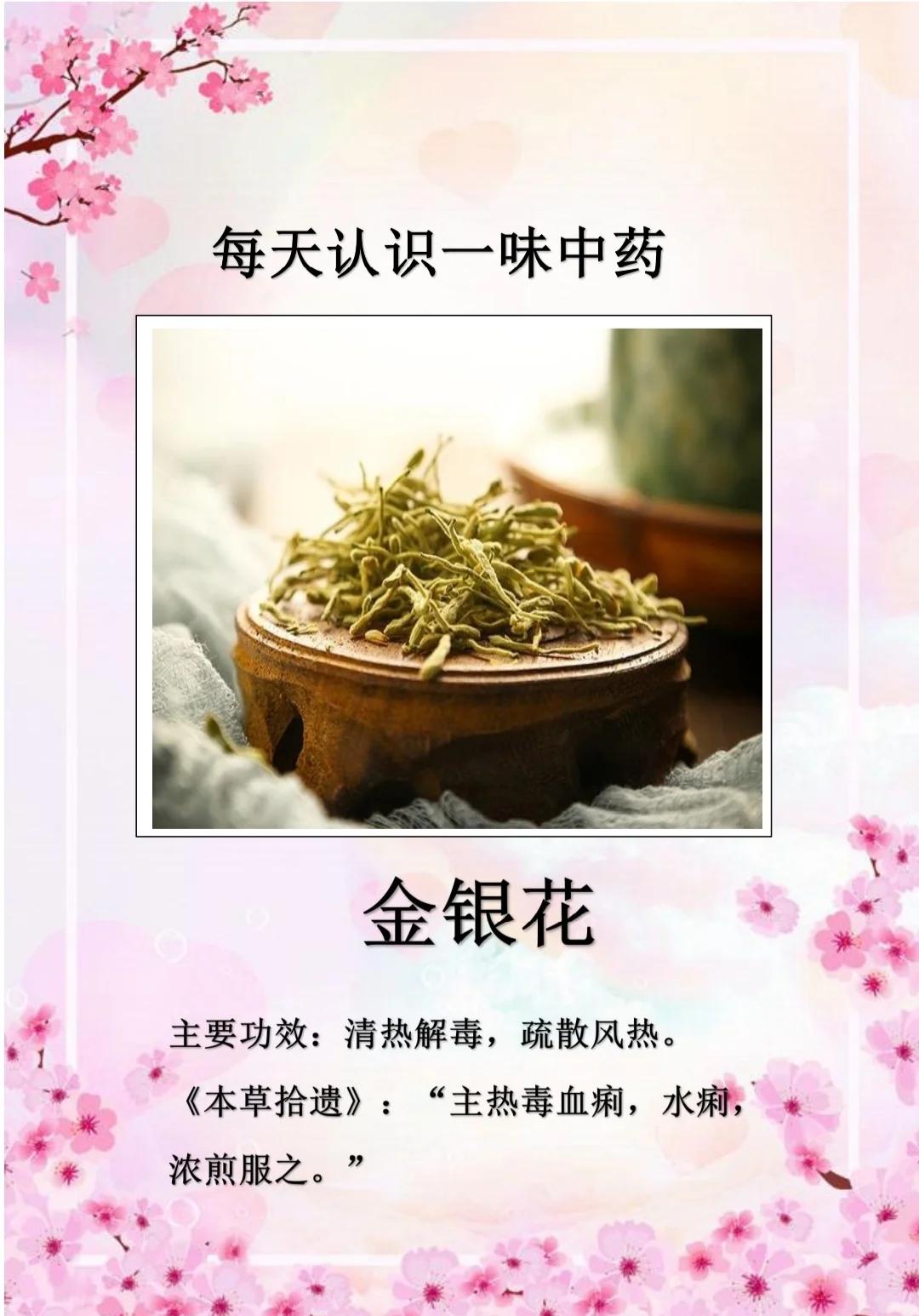 金银花叶子的功效与作用有哪些