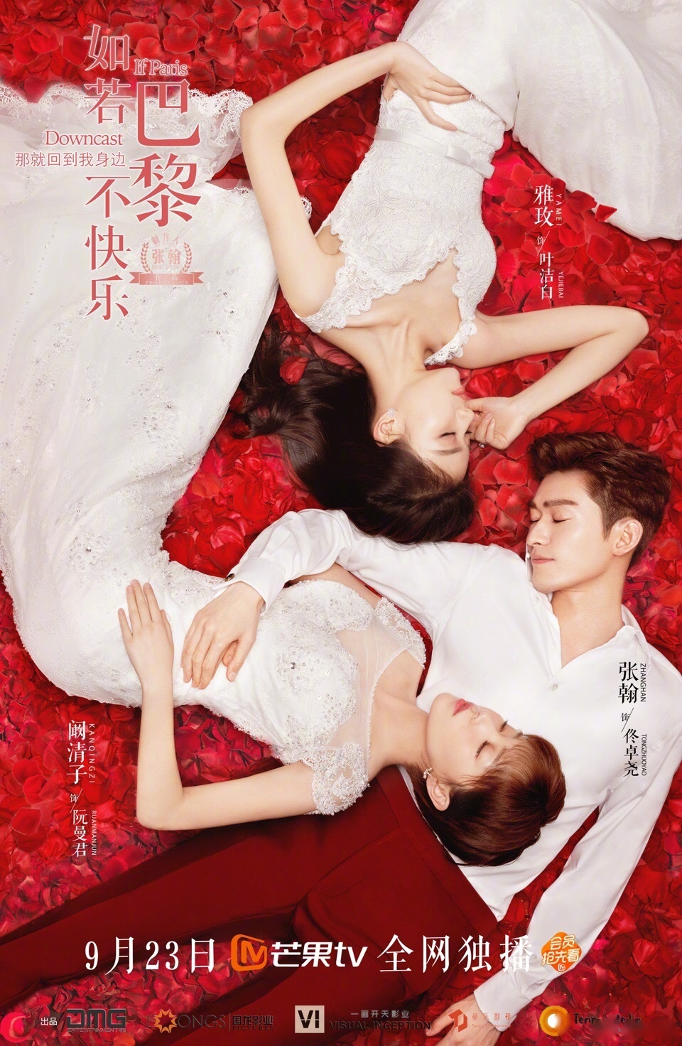 如若巴黎不快乐电视剧剧情简介