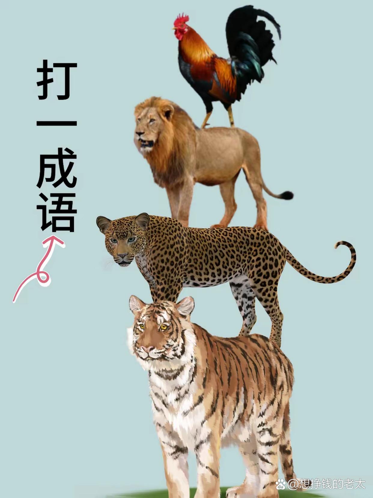 一山不能容二虎什么意思？