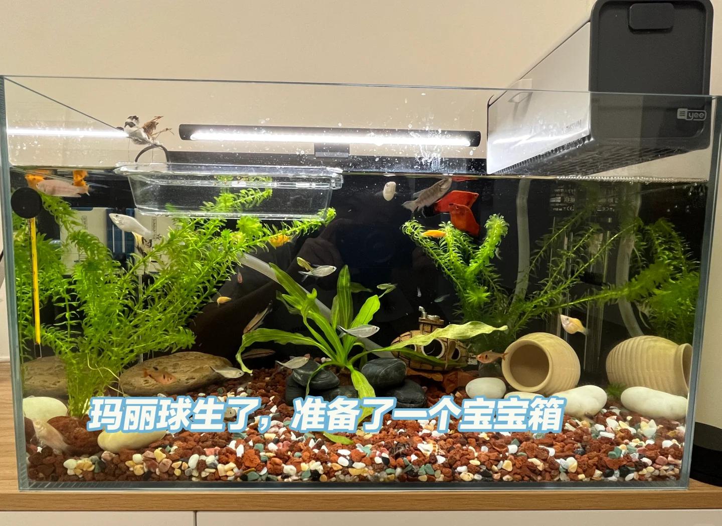 皇甫喜