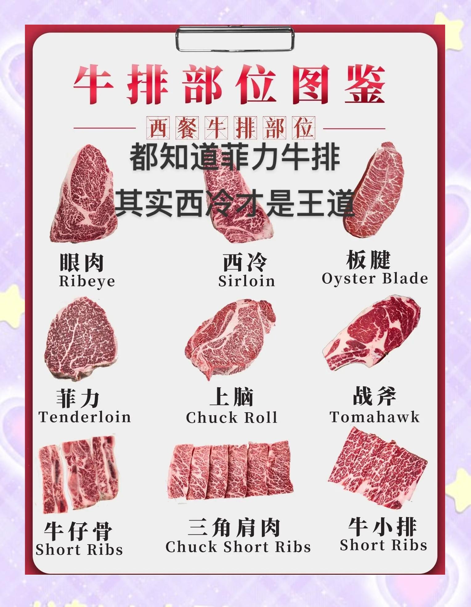 牛排是牛的哪个部位的肉