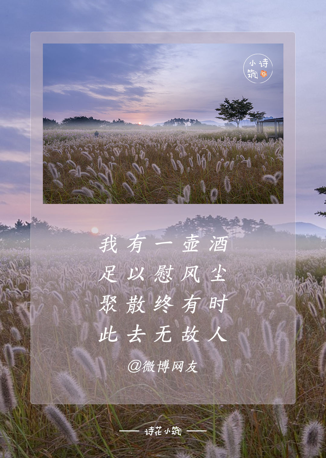 邸娟丽
