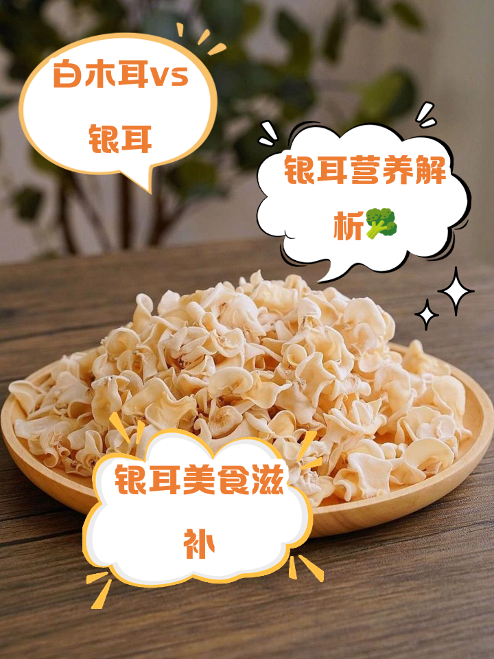 白木耳和银耳有什么区别