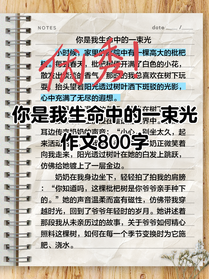 关于你是我生活的阳光作文范文