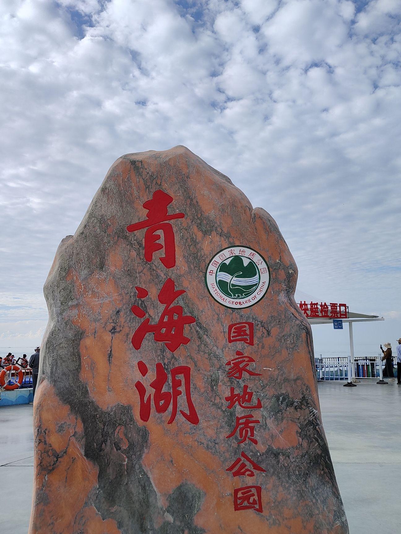 请问：西宁的海拔高度大致是多少？