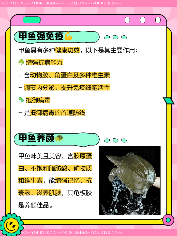 女孩子吃甲鱼的好处和坏处