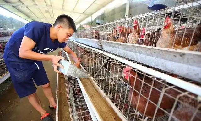 在农村现在做什么生意赚钱