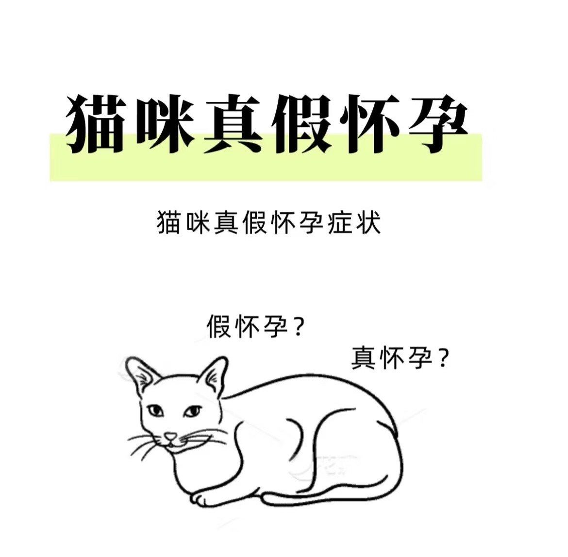 孕妇梦见猫是什么预兆