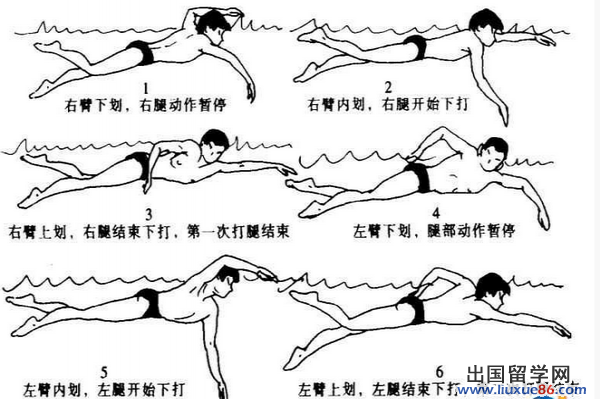 游泳技巧图解学游泳的技巧有哪些