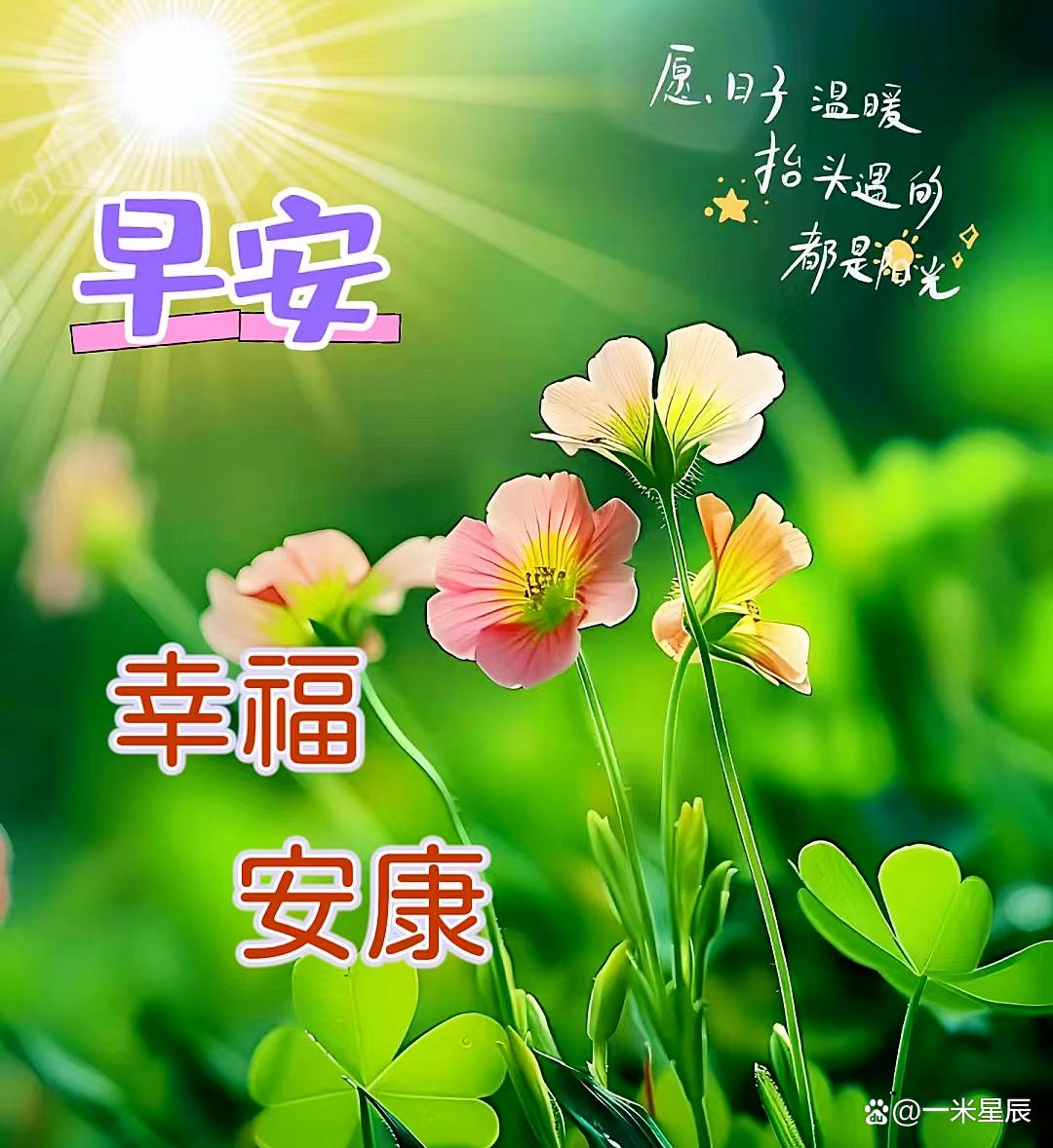 早上好暖心问候祝福语