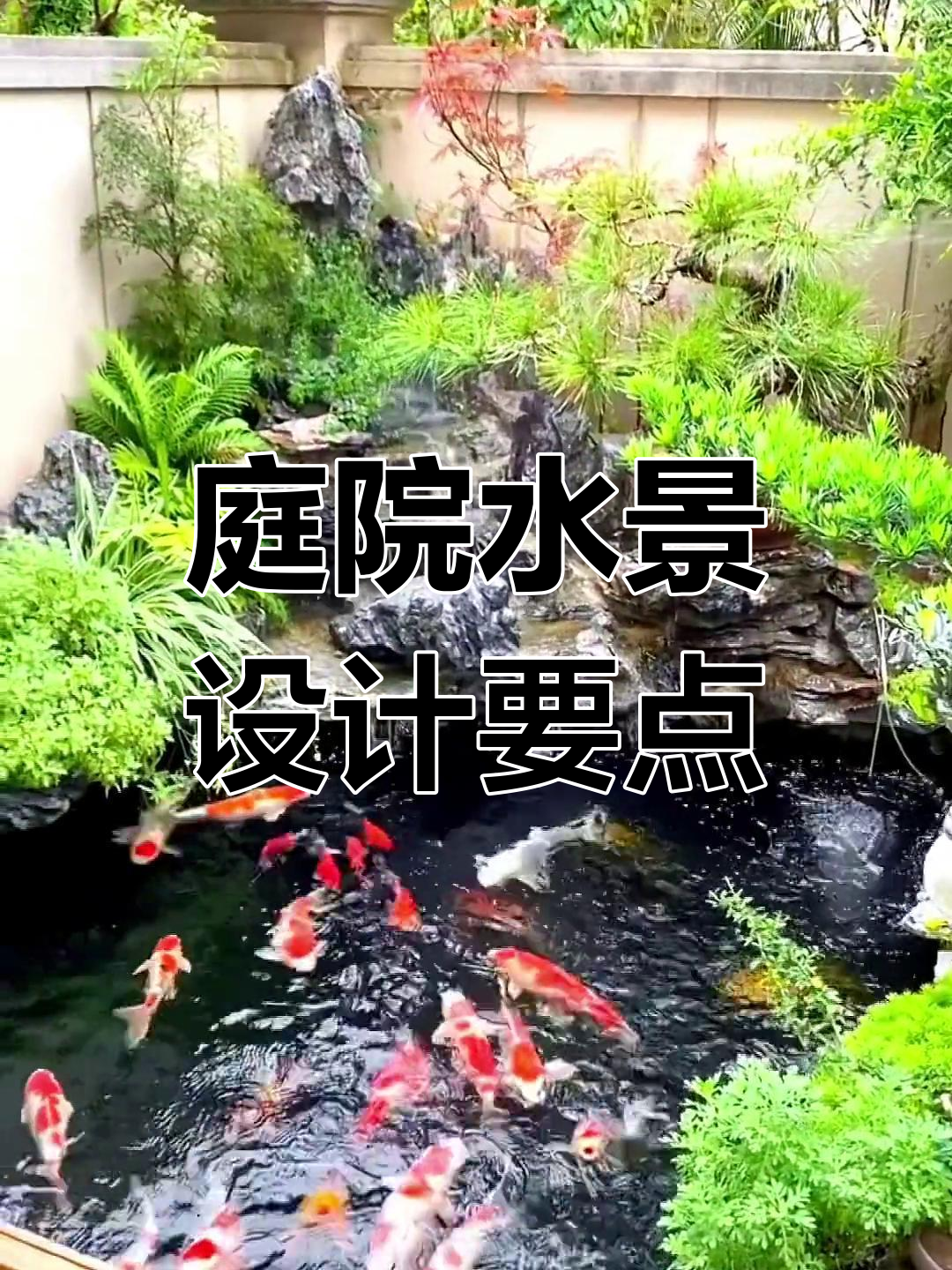 屋后面有鱼塘风水好不好