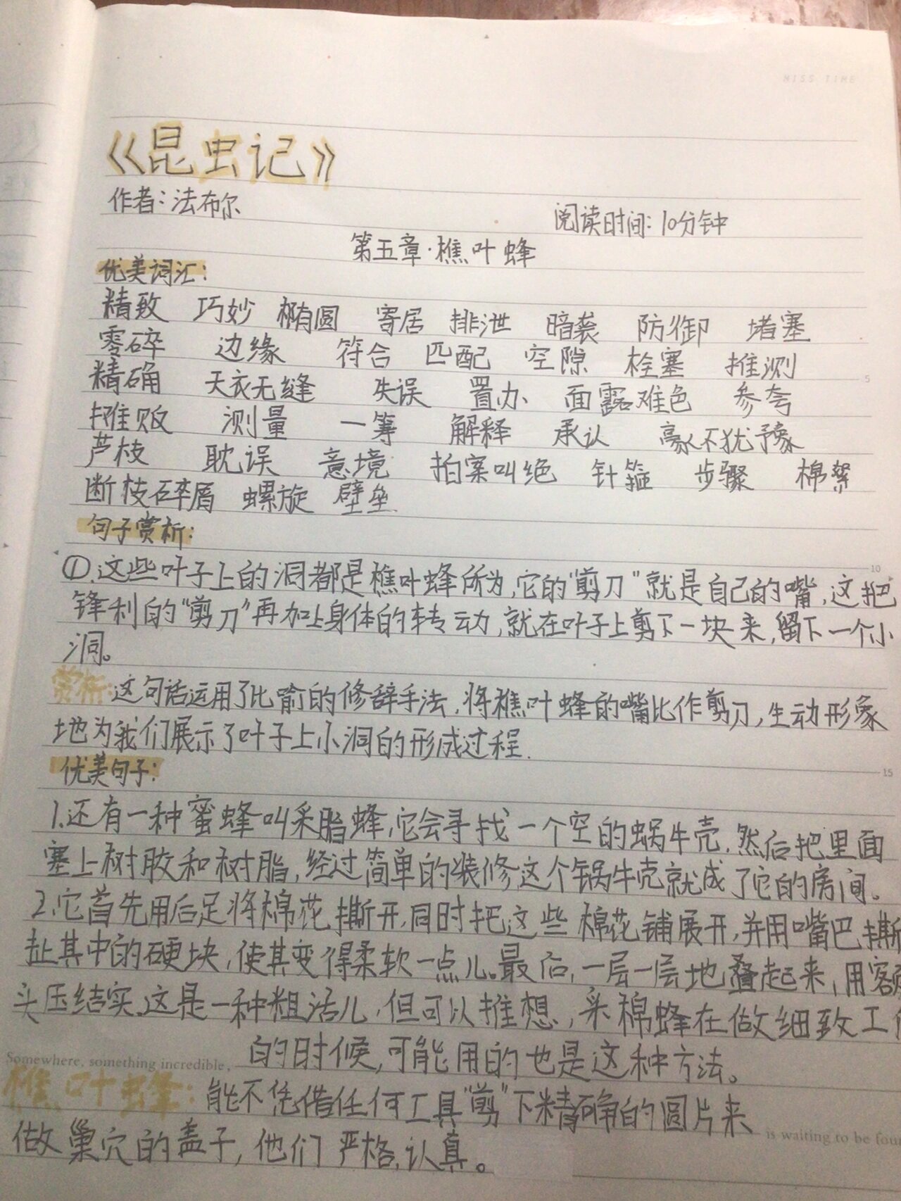 昆虫记读书笔记1000字