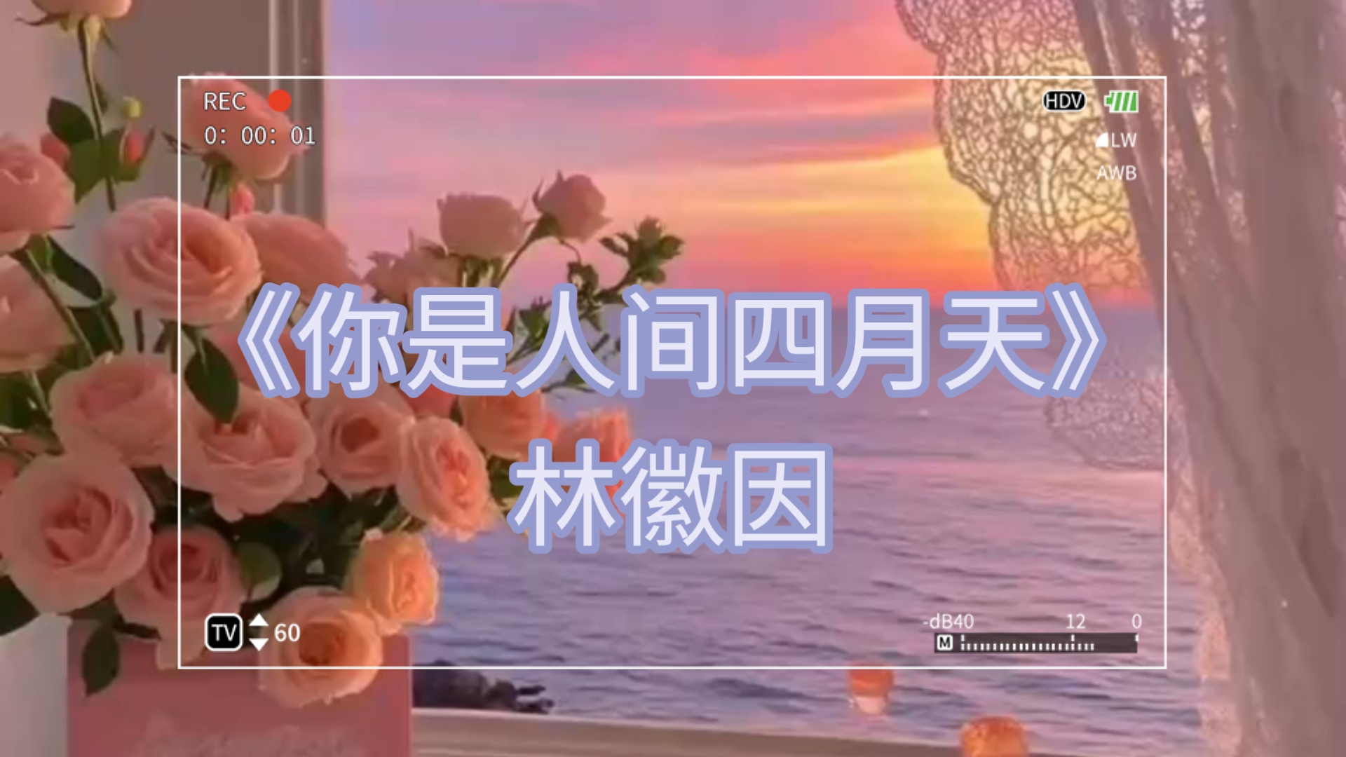 你是人间四月天全诗是什么呢